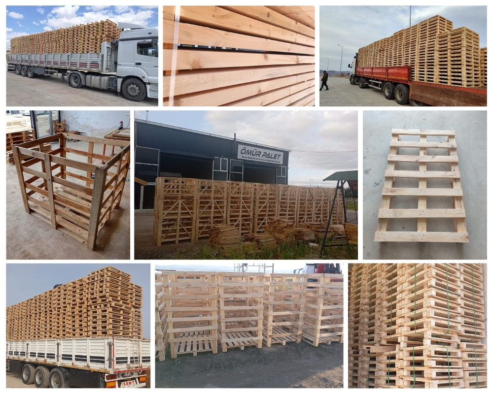 Lastra a Signa Palette Europe, Acheter des palettes en gros